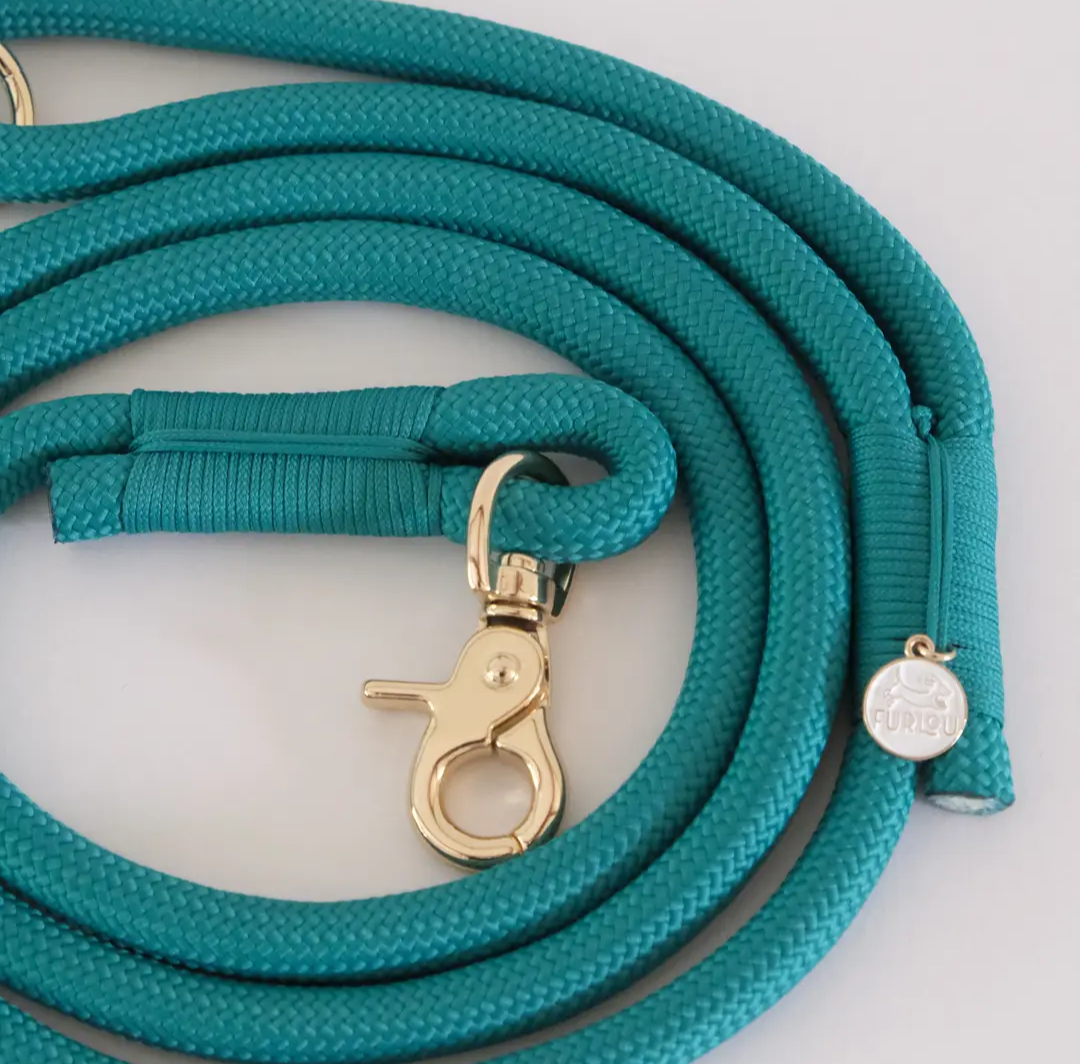 Teal Rope Handsfree Leash