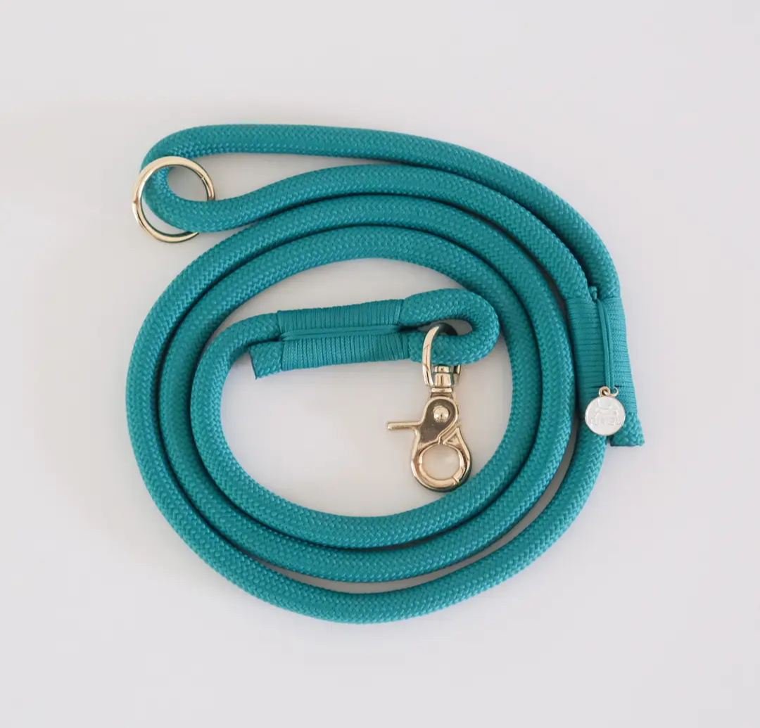 Teal Rope Handsfree Leash