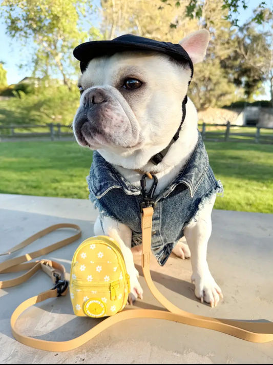 Mini Poop Backpack