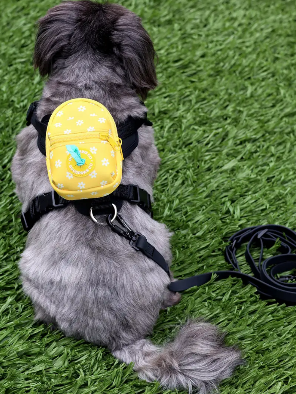 Mini Poop Backpack