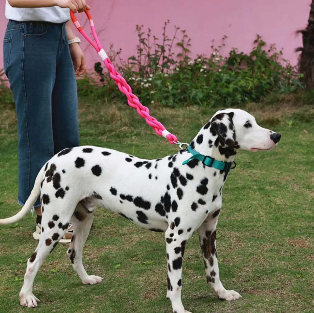 Braided Dog Leash