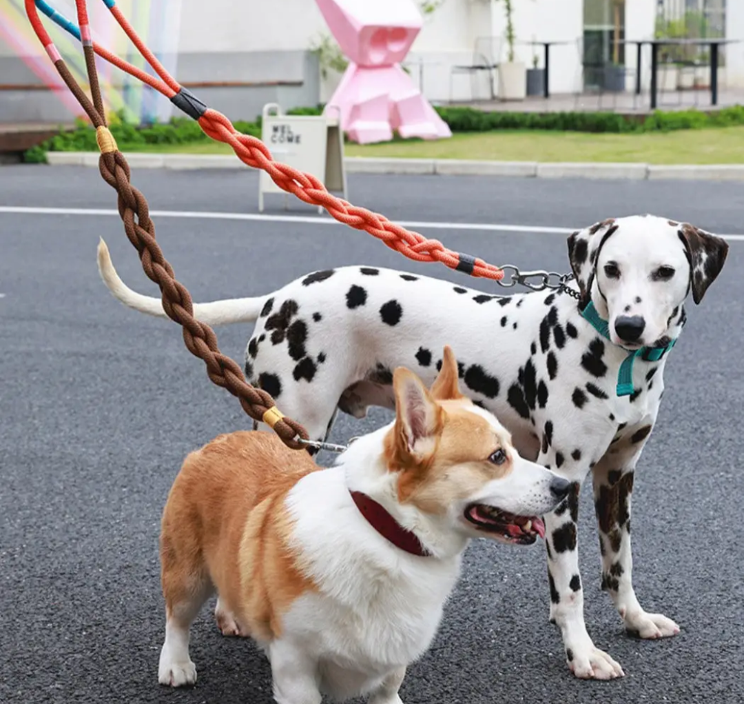 Braided Dog Leash