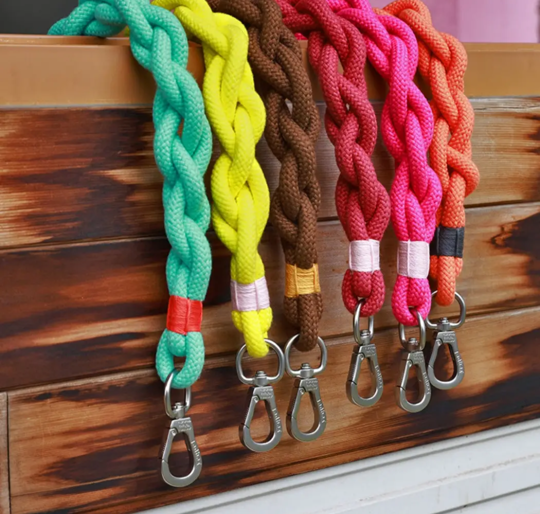 Braided Dog Leash